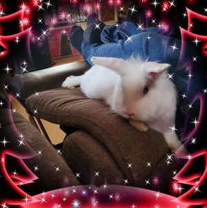 Meet your Posher, Becky